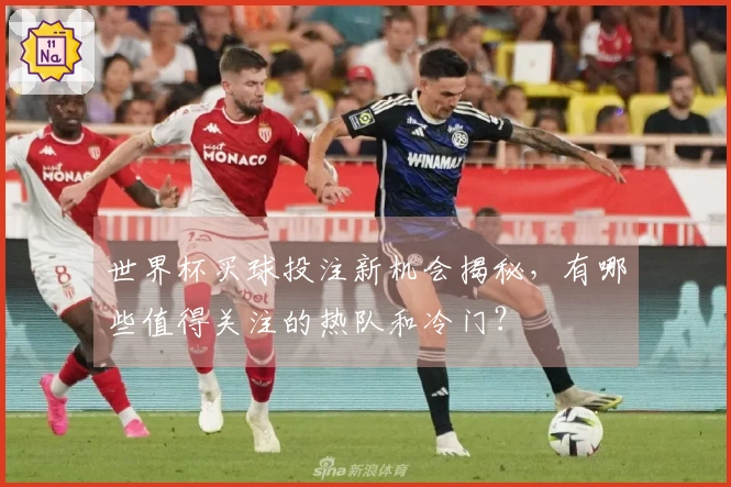 世界杯买球投注新机会揭秘，有哪些值得关注的热队和冷门？