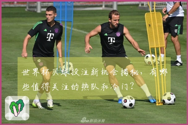 世界杯买球投注新机会揭秘，有哪些值得关注的热队和冷门？