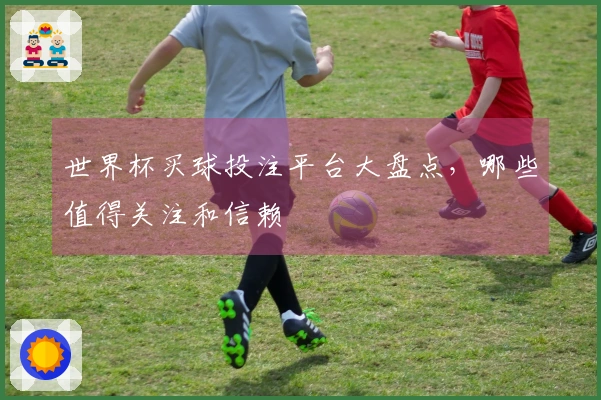 世界杯买球投注平台大盘点，哪些值得关注和信赖