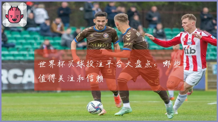 世界杯买球投注平台大盘点，哪些值得关注和信赖