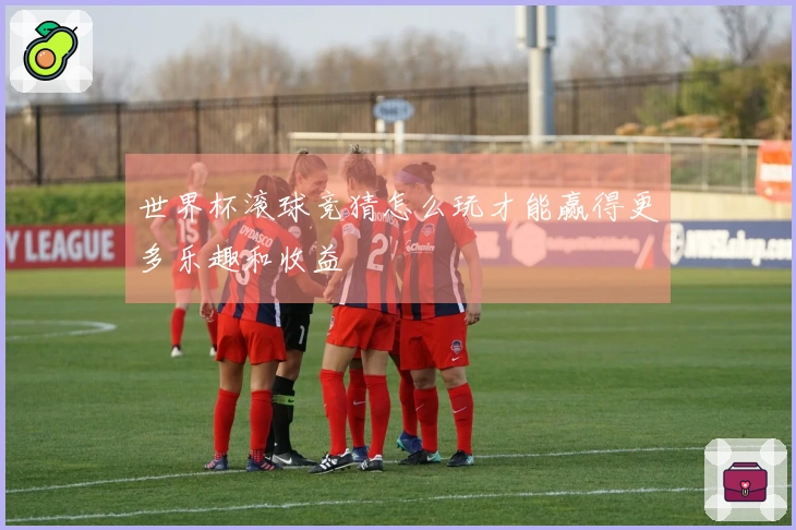 世界杯滚球竞猜怎么玩才能赢得更多乐趣和收益